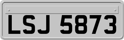 LSJ5873
