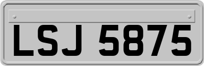 LSJ5875