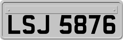 LSJ5876