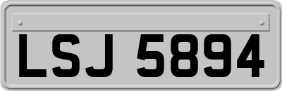 LSJ5894