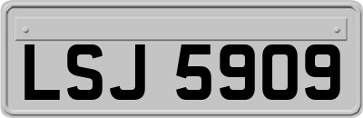LSJ5909