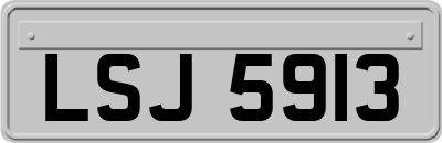 LSJ5913