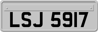 LSJ5917