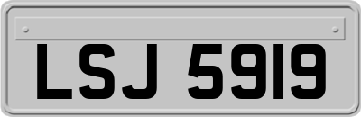 LSJ5919