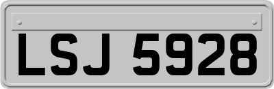 LSJ5928