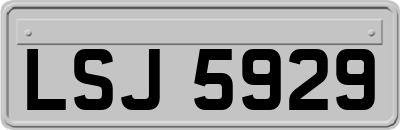 LSJ5929