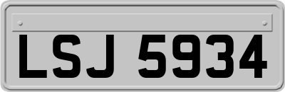 LSJ5934