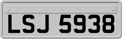 LSJ5938