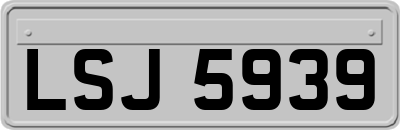 LSJ5939