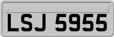 LSJ5955