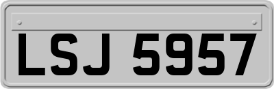 LSJ5957