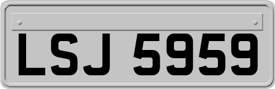 LSJ5959