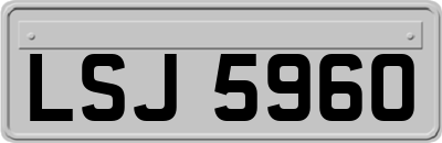 LSJ5960