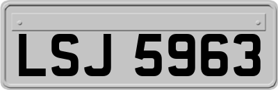LSJ5963