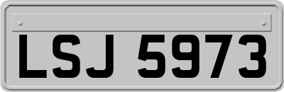 LSJ5973