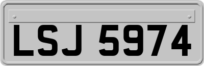 LSJ5974