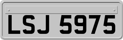 LSJ5975