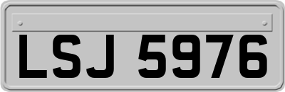 LSJ5976