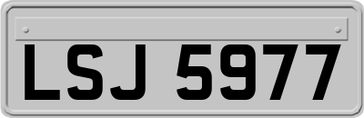 LSJ5977