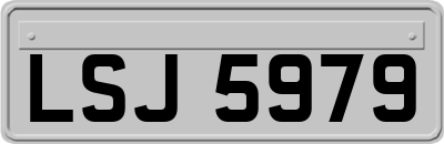 LSJ5979