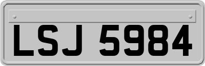 LSJ5984