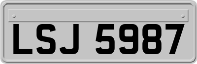 LSJ5987