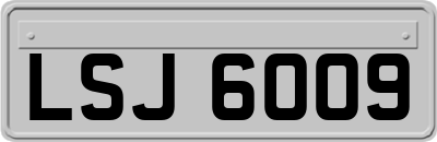 LSJ6009
