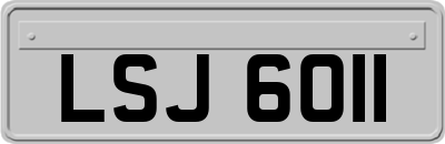 LSJ6011