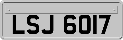 LSJ6017