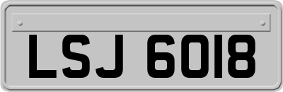 LSJ6018