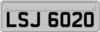 LSJ6020