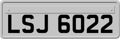 LSJ6022