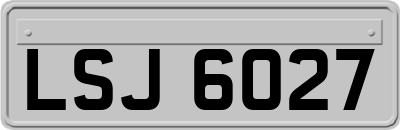 LSJ6027