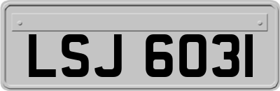 LSJ6031