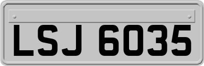 LSJ6035