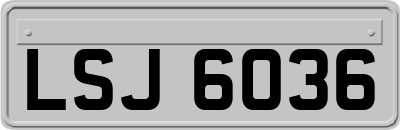 LSJ6036