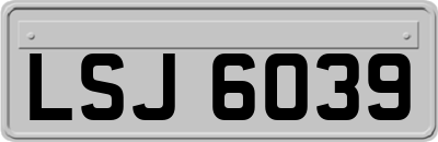 LSJ6039
