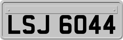 LSJ6044