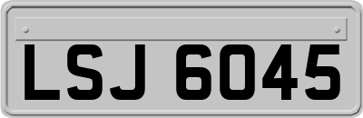 LSJ6045