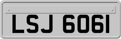 LSJ6061