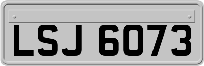 LSJ6073