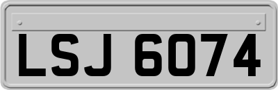 LSJ6074