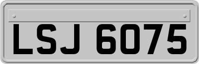 LSJ6075
