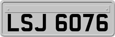 LSJ6076