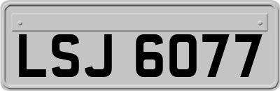 LSJ6077