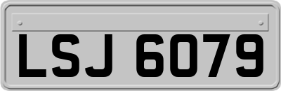 LSJ6079