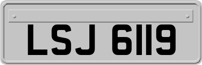 LSJ6119