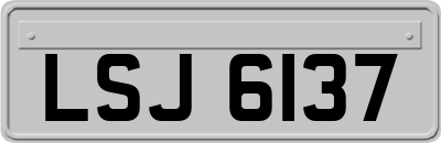 LSJ6137
