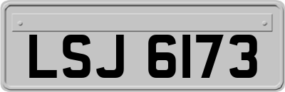 LSJ6173