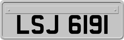 LSJ6191